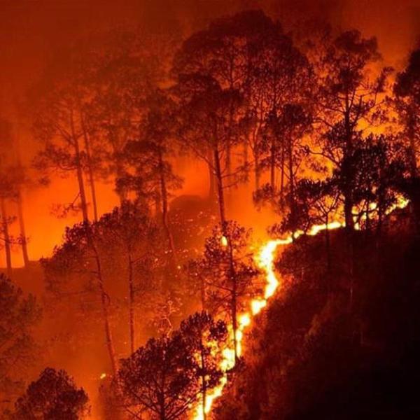 Chapter 20 –&nbsp;Ezekiel